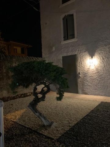 Magnolia Country House Pescantina Dış mekan fotoğraf