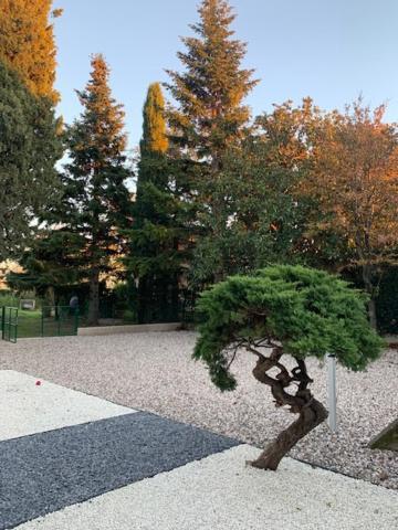 Magnolia Country House Pescantina Dış mekan fotoğraf